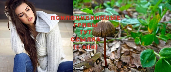 стаф Майский