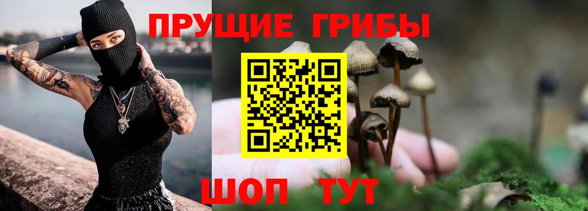 Псилоцибиновые грибы Cubensis  Вход с VPN  Орск  Галлюциногенные грибы Psilocybe 