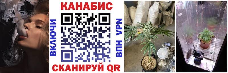 Канабис OG Kush  наркотики  Орск 